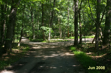 At the juction with the Matildaville trail where you previously walked stay to the left on the Old Carriage Road.