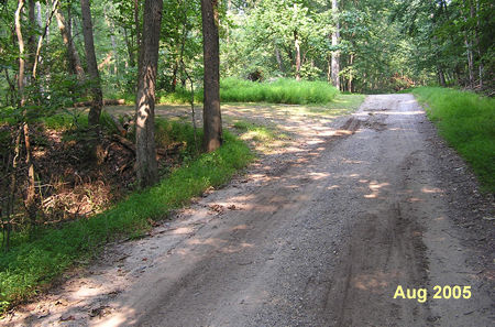 A branch of the swamp trail connects on the left.