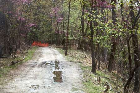 After crossing the bridge turn right to follow the dirt road.