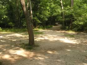 The path to the left connects to the parking lot.  Continue straight on the trail next to the canal.