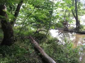 This is the junction of the canal with the river.