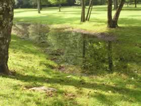 Notice the trail continues to follow the canal on the right although there is very little water in the canal here.