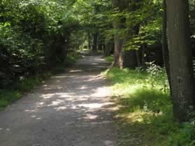 Continue straight on the present trail as it enters the woods.