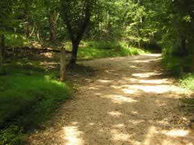 The trail intersects with the Matildaville trail.  Turn to the right to follow that trail.