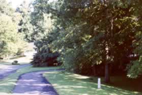 The path turns right and leads into the end of Coat Ridge Rd.