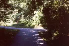 At the next trail intersection turn left.  The trail to the right crosses Sugarland Run.