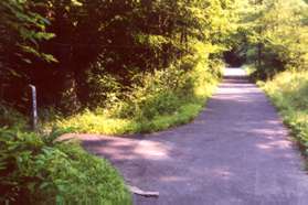 An asphalt trail intersects on the left.  Stay on the current trail marked Hunter Creek Trail.
