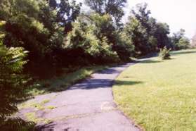 A trail intersects from the left.  Continue straight so that the houses are on the right only.