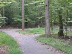 The trail comes to a traingular trail intersection. Follow the asphalt trail to the right.