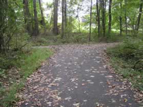 An asphalt trail intersects from the left.  Continue straight on the present trail.