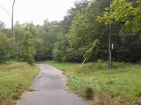 An asphalt trail intersects from the right at a telephone cable right-of-way.  Continue straight on the present trail.