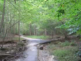 An asphalt trail intersects from the right.  Continue straight on the present trail.