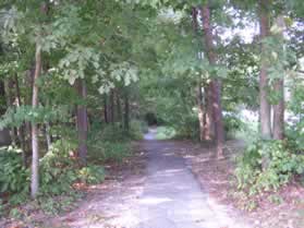 The sidewalk from the school leads back to the asphalt trail along the street.