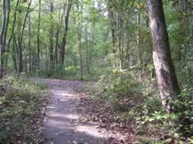 Turn right at the asphalt trail at the end of the current trail.