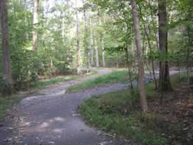 Stay to the left at the triangular trail intersection.