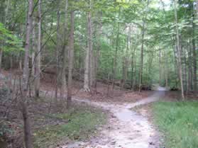 After a very short distance at the next trail intersection it appears that the trail turns to the left.  Instead take the asphalt trail to the right.