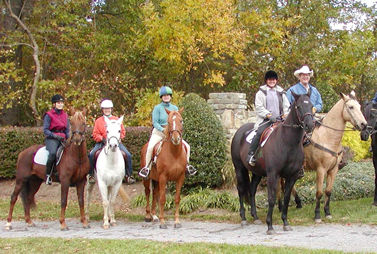 Horse riding pictures.