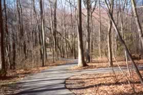 At the first asphalt trail intersection turn right.