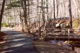 Go straight past the narrow bridge over Glade Creek.