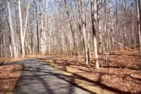 The trail ends at the next trail intersection.  Turn right.