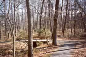 The trail goes down a hill and turns left over a bridge.