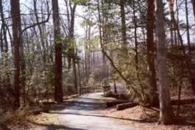 The trail crosses a bridge over Snakeden Creek.