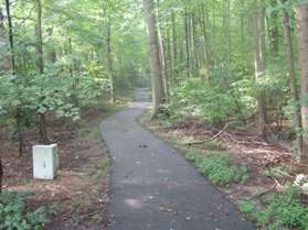 After crossing Colts Neck Road continue straight on the opposite side.  A stream will appear on the right.