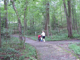 The trail turns right and crosses a stream. Continue straight past the asphalt trail intersecting from the right.