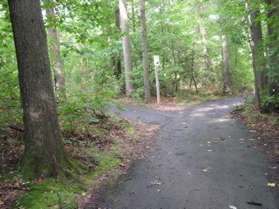 Turn left at the next asphalt trail intersection.