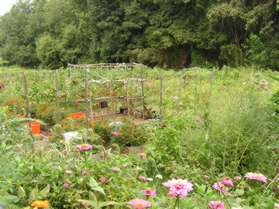 Vegetables and flowers are grown here.  Plots are available to Reston Assoc. members.