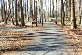 At this gravel trail intersection continue on the trail to the right.