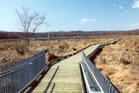 A railing appears along the boardwalk in areas of special interest.