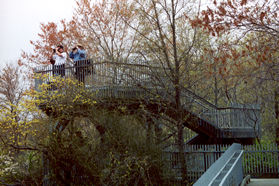 The boardwalk connects with stairs to an observation deck shown here.