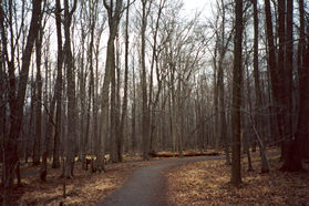 Turn right at the next gravel trail intersection.