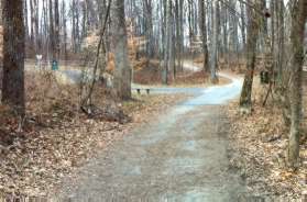 The trail intersects with an asphalt trail on the left to Carleigh Parkway. Stay straight on the natural surface trail.