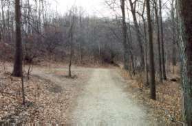 A mountain bike trail intersects on the left. Continue on the natural surface trail to the right.