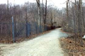 The fence on the left appears to be providing protection from beavers.