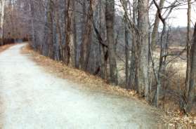 The trail towers above the lake area at this point.