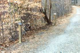 These markers identify some of the local trees.