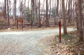 The trail intersects with the Cross County Trail. Turn right.