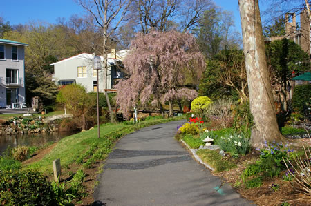 The trail crosses a bridge.  Go straight up the hill to the street (Waterview Cltr).