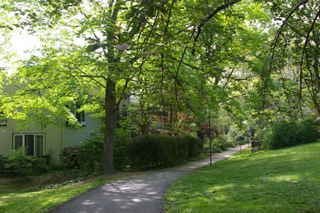 The trail intersects with another trail.  Take the trail to the left.