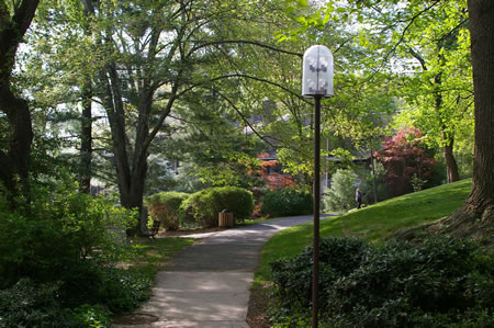 At the end of the houses the trail curves to the right behind another group of houses.  The lake can be seen on the left.