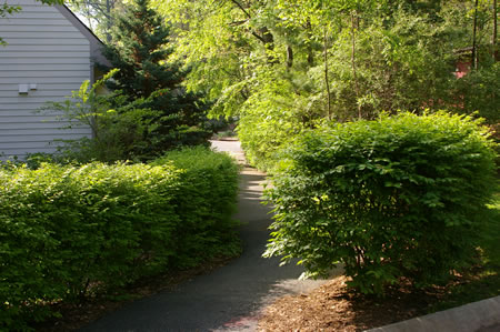 At the end of the street the trail cuts between homes.