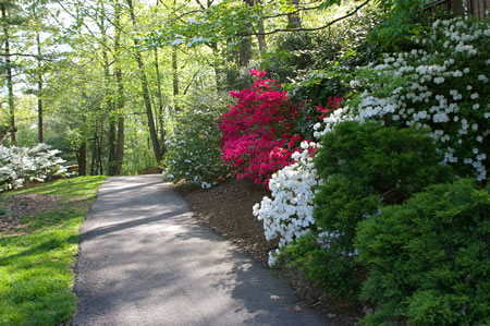 At the other end of South Shore Rd a trail cuts between the houses.