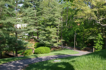 The trail forms a wye at the bottom of the hill.  Take the trail to the left.