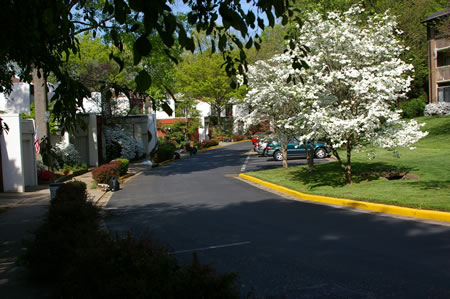 Follow the sidewalk down the continuation of Waters Edge Ln.  The lake is behind the houses.