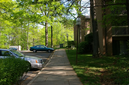 Follow the sidewalk with the buildings on the right and a parking area on the left to the end of the sidewalk.