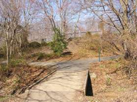 Turn right at the next trail intersection just past the footbridge.