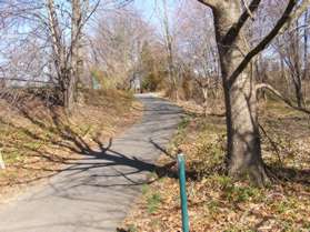 The trail goes up a hill.